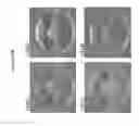 Fig. 14 - Magnetically immobilized microbiocidal enzymes