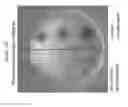 Fig. 16 - Magnetically immobilized microbiocidal enzymes
