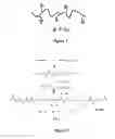 Fig. 03 - Clickable antimicrobial molecules and polymers