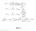 Fig. 05 - Clickable antimicrobial molecules and polymers