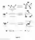 Fig. 06 - Clickable antimicrobial molecules and polymers