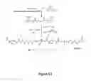 Fig. 12 - Clickable antimicrobial molecules and polymers