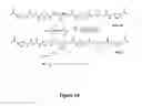 Fig. 13 - Clickable antimicrobial molecules and polymers