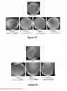 Fig. 15 - Clickable antimicrobial molecules and polymers