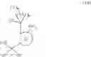 Fig. 41 - Fungicidal N-cycloalkyl-N-{[ortho-(1-substituted-cycloalkyl)heteroaryl]methyl}(thio)carboxamides