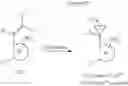 Fig. 47 - Fungicidal N-cycloalkyl-N-{[ortho-(1-substituted-cycloalkyl)heteroaryl]methyl}(thio)carboxamides