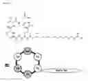 Fig. 23 - strain, antifungal compounds, and methods for their use