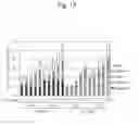 Fig. 19 - FORMULA FEED FOR POULTRY