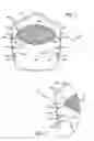 Fig. 02 - Modular face mask