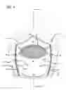 Fig. 04 - Modular face mask