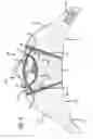 Fig. 06 - Modular face mask