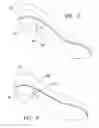 Fig. 04 - Shoe with a high heel to low heel conversion