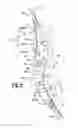 Fig. 07 - Cable-tensioning system strap