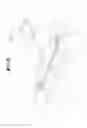 Fig. 03 - Suction nozzle for a vacuum cleaner