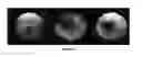 Fig. 03 - MULTI-USE SCOPE