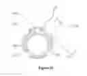 Fig. 12 - MULTI-USE SCOPE