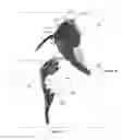 Fig. 26 - MULTI-USE SCOPE