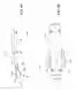Fig. 05 - Medical tools and related methods of use