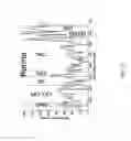 Fig. 04 - Method and device for the non-invasive indirect identification of sites of alterations of the blood-retinal barrier