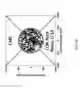 Fig. 12 - Method and device for the non-invasive indirect identification of sites of alterations of the blood-retinal barrier