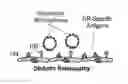 Fig. 01 - MOLECULAR IMAGING METHODS FOR DIAGNOSIS AND EVALUATION OF OCULAR AND SYSTEMIC DISEASES