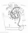 Fig. 01 - System and Method for Assisted Partitioning of Body Conduits