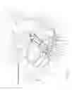 Fig. 03 - Diagnostic probe for measuring the deformation of an internal cavity