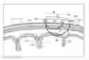 Fig. 01 - Systems and methods for determining whether regional oximetry sensors are properly positioned