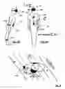 Fig. 05 - DEVICE AND METHOD FOR MEASURING THE PERCEPTION OF EQUILIBRIUM IN INDIVIDUALS