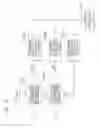 Fig. 07 - Biological condition determining apparatus and biological condition determining method