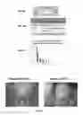 Fig. 10 - SYSTEM AND METHOD OF MONITORING CONSUMABLE USE BASED ON CORRELATIONS WITH DIAGNOSTIC TESTING