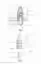 Fig. 05 - Anchor Element For Knotless Fixing Of Tissue To A Bone
