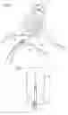 Fig. 04 - Tamponade for nasal cavities or sinus cavities