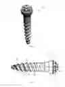 Fig. 02 - Spinal fastener with serrated thread