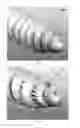 Fig. 07 - Spinal fastener with serrated thread