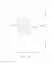 Fig. 13 - INTERSPINOUS STABILIZER