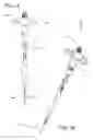 Fig. 02 - APPARATUS AND METHOD FOR ACCESSING THE SPINE AND PLACING PEDICLE SCREWS WITHOUT THE USE OF GUIDE-WIRES