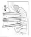 Fig. 16 - SPINAL FIXATION TOOL ATTACHMENT STRUCTURE