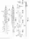 Fig. 04 - Orthopedic implant kit