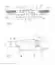 Fig. 04 - Modular bone plate and member of such a modular bone plate