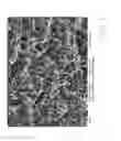Fig. 02 - Process for the preparation of a topography for improved blood coagulation and/or cell attachment on a body made of titanium or a titanium alloy