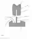 Fig. 02 - METHOD FOR POSITIONING PROSTHETIC TEETH IN A DENTURE BASE
