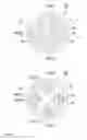 Fig. 06 - Dental implant
