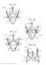 Fig. 04 - Sinus-engaging valve fixation member