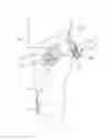 Fig. 01 - Motion assistance apparatus
