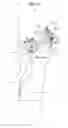 Fig. 14 - Motion assistance apparatus