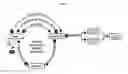 Fig. 02 - REMOTELY-EXECUTED MEDICAL THERAPY DEVICE