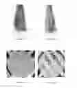 Fig. 04 - COSMETIC COMPOSITION