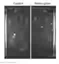 Fig. 01 - Antimicrobial compositions and methods for reducing microbial contamination