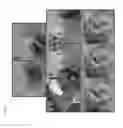 Fig. 04 - Antimicrobial compositions and methods for reducing microbial contamination